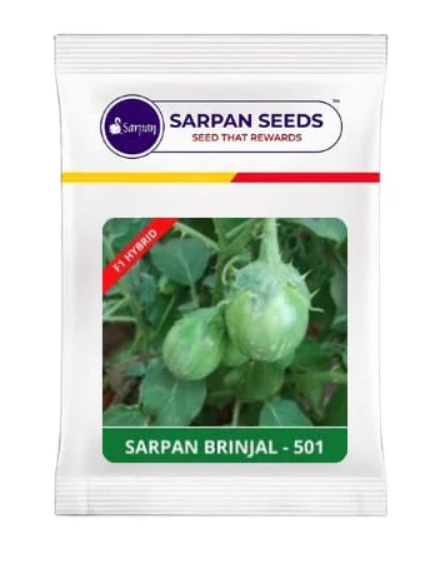 SARPAN BRINJAL – 501 (Green colour - Spiny)