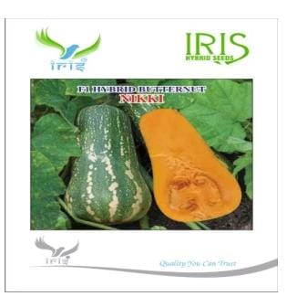 IRIS HYBRID FRUIT SEEDS F1 HYBRID BUTTERNUT NIKKI