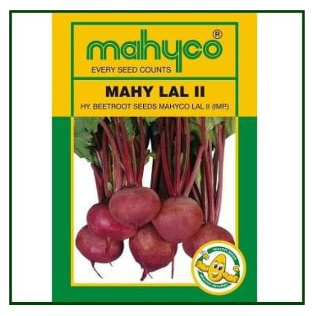 MAHY LAL-II BEETROOT