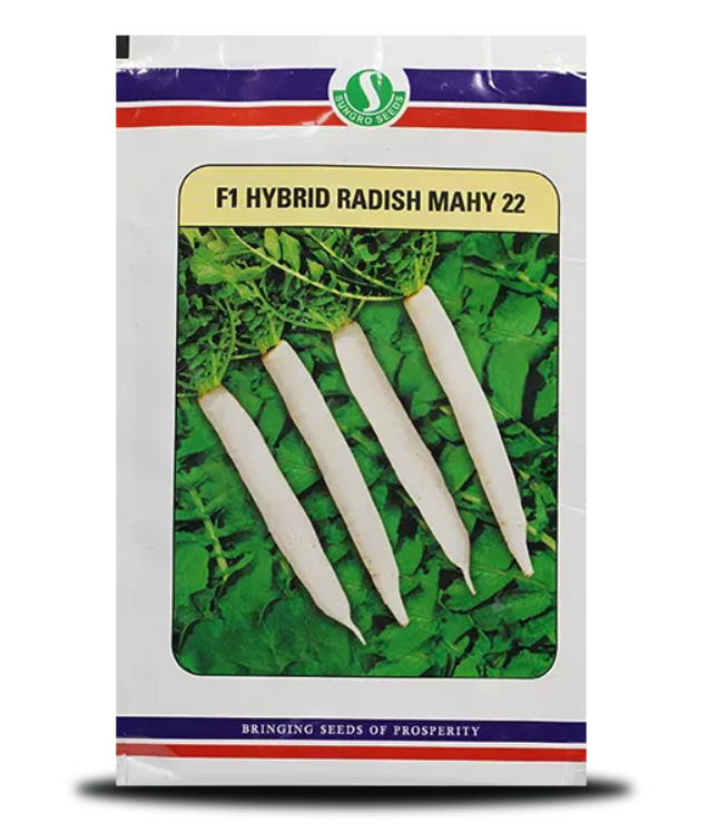SUNGRO MAHY 22 RADISH ( माहिको 22 मूली )