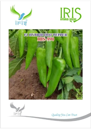 IRIS HYBRID F1 IHS-990 HOT PEPPER