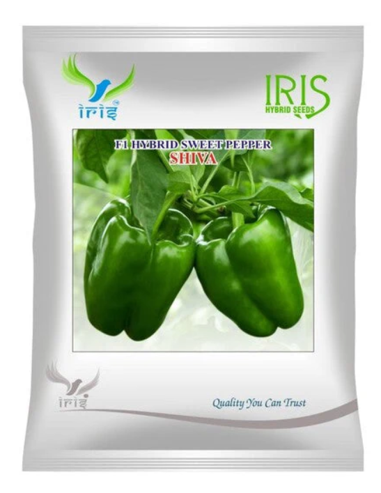 Iris Hybrid F1 Capsicum Shiva