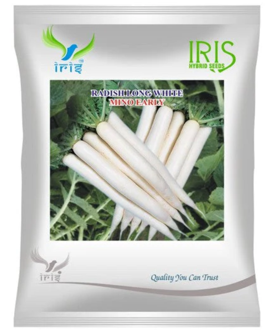 Iris Imported OP RADISH LONG WHITE MINO EARLY