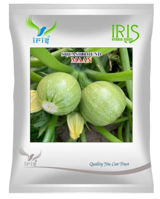 Iris Imported OP SQUASH ROUND MAAN