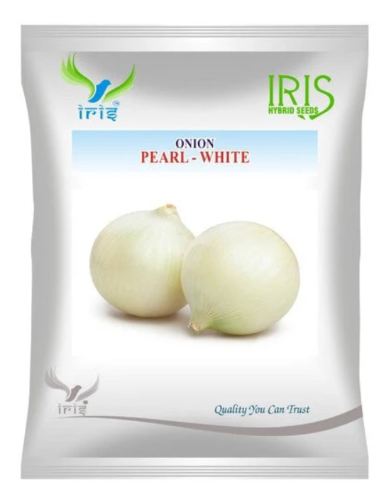 Iris OP ONION PEARL WHITE