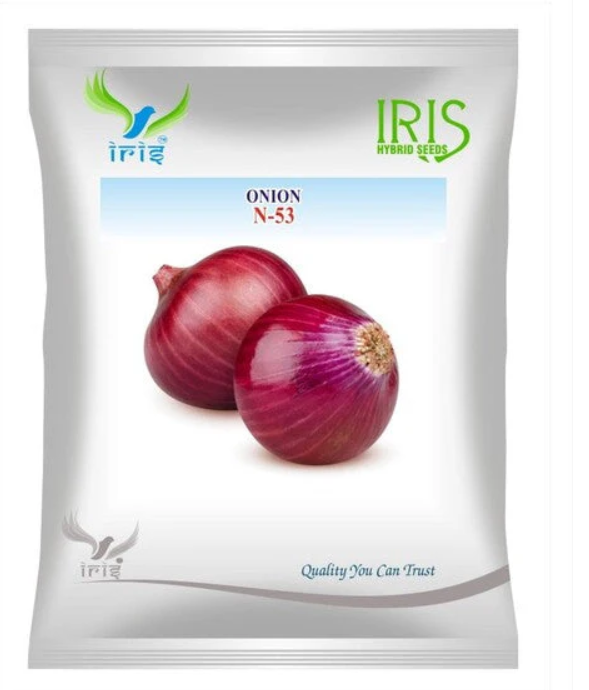 Iris OP ONION N-53