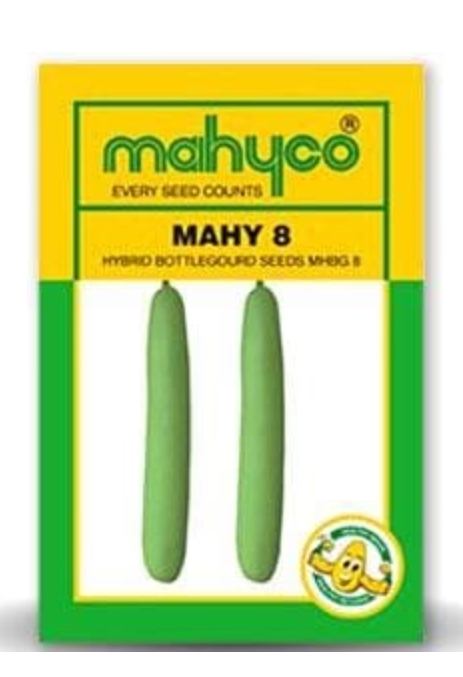 MAHY 8 BOTTLE GOURD ( माहिको 8 लौकी )