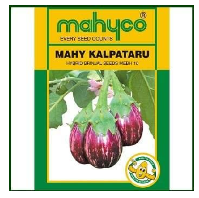 Mahy Kalpataru Mebh -10 Brinjal Seeds