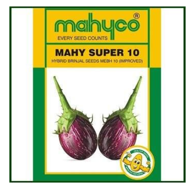 SUPER 10 BRINJAL