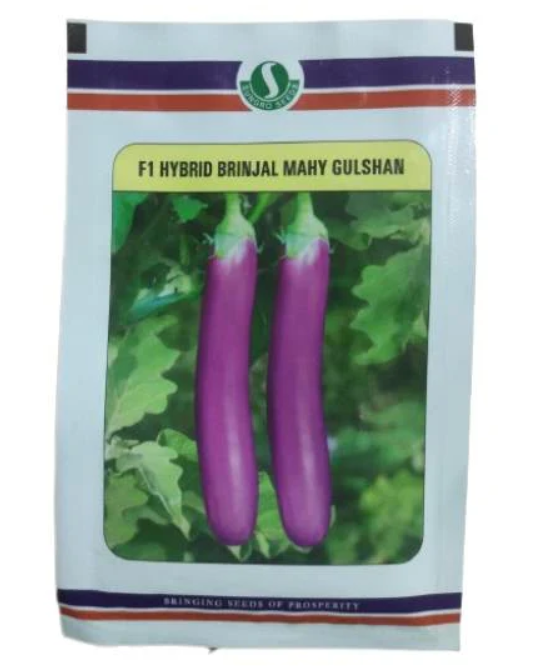 Mahy Gulshan Brinjal Seeds