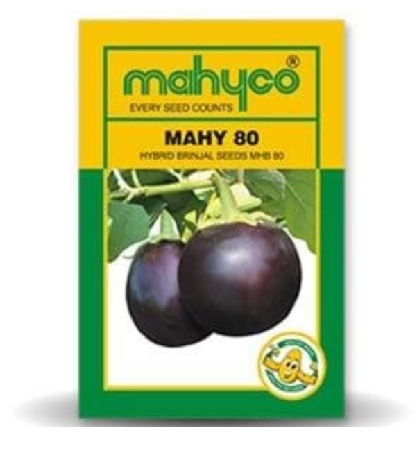 MAHY MHB-80 BRINJAL