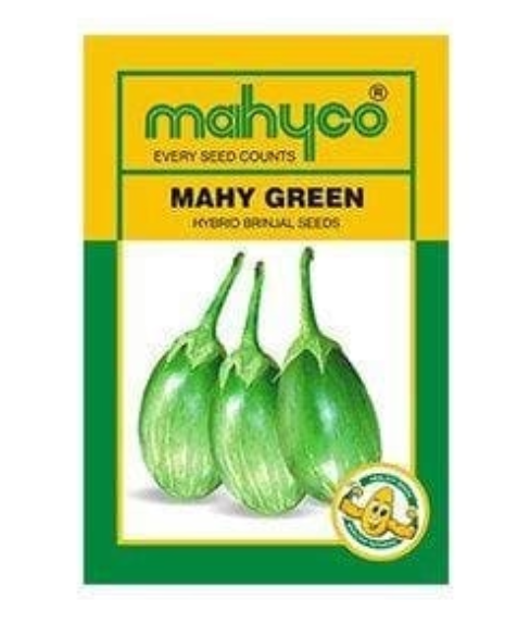 MAHY GREEN BRINJAL