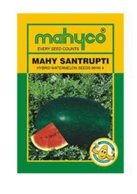MAHY SANTRUPTI WATERMELON SEEDS