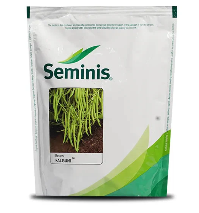 FALGUNI GARDEN BEAN