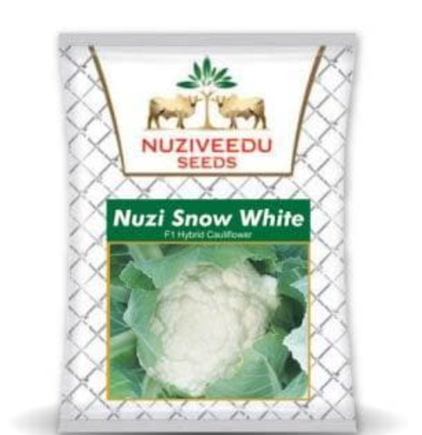 SNOW WHITE CAULIFLOWER