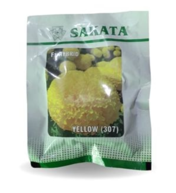 SAKATA F1 HYBRID YELLOW (307) MARIGOLD SEEDS