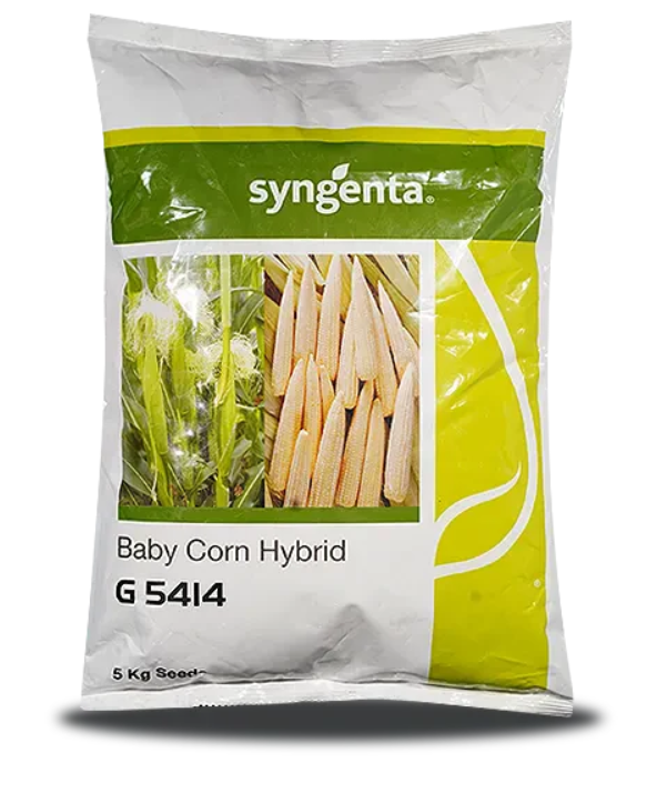 G5414 BABYCORN SEEDS