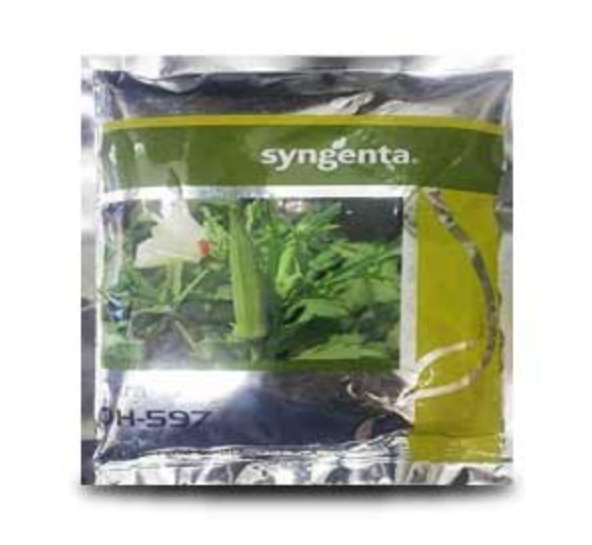 SYNGENTA OH-597 BHENDI (OKRA) ( 597 भिन्डी )
