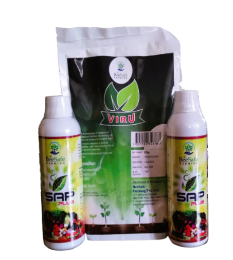 VEDAGNA SAP PLUS 500 ML + VIRU 500 GM COMBO