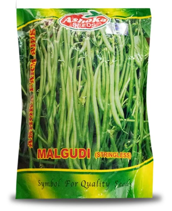 Malgudi Beans Seeds