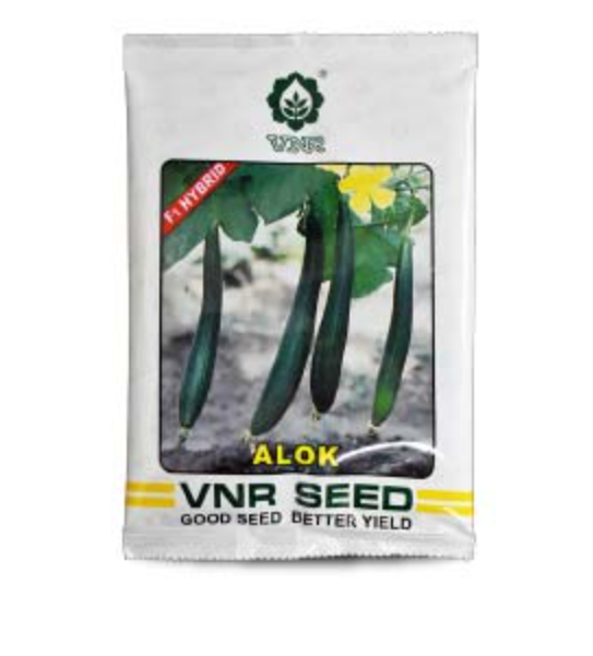 Alok F1 Hybrid Sponge Gourd Seeds