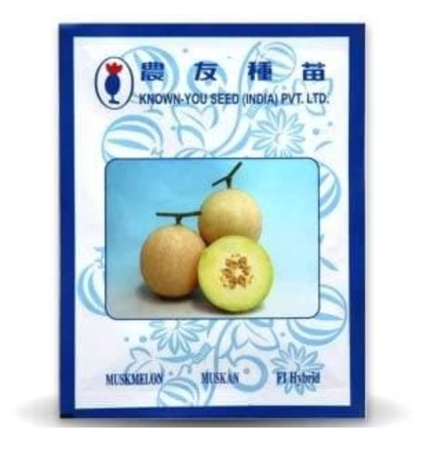 MUSKAN MUSK MELON (मुस्कान)