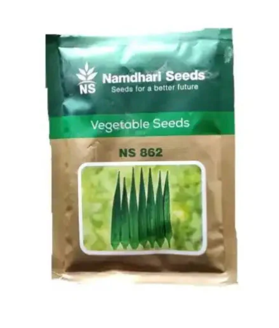 NS 862 F1 Hybrid Bhendi Seeds