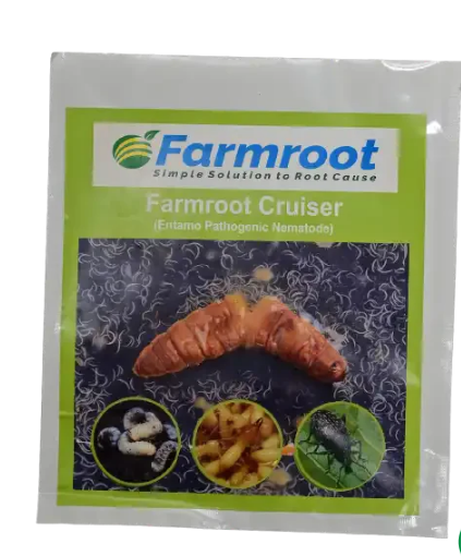 FARM ROOT EPN