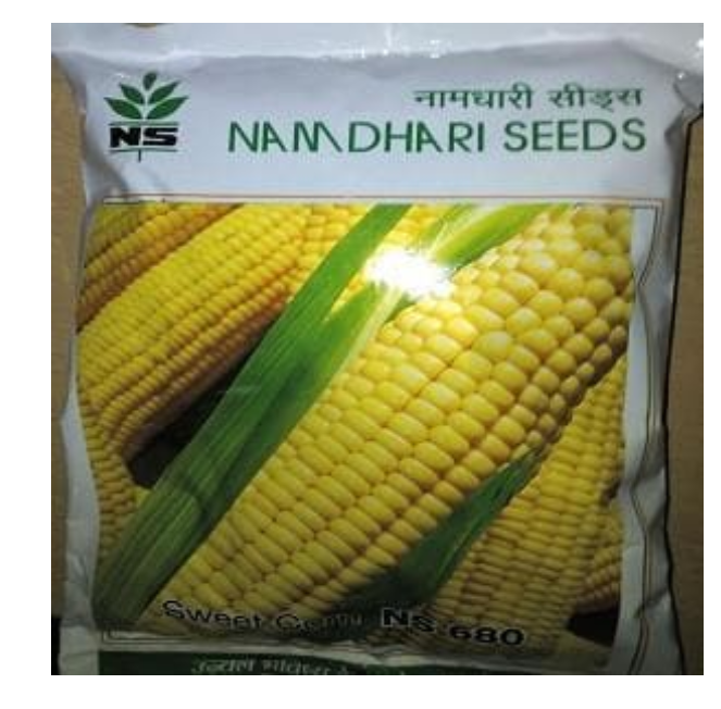 एनएस 680 स्वीट कॉर्न