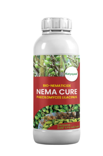 KATYAYANI PAECILOMYCES LILACINUS (BIO NEMATICIDE)