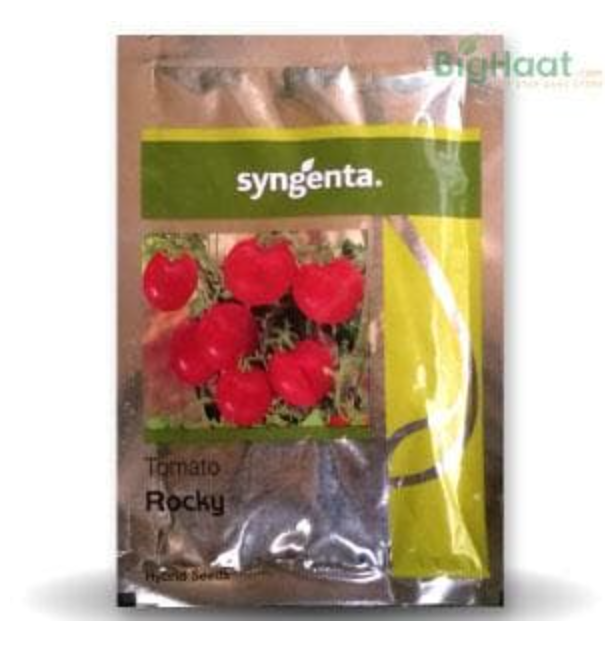 ROCKY TOMATO ( रोकी टमाटर )