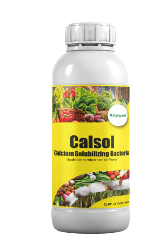 katyayani-calcium-solubilizing-bacteria