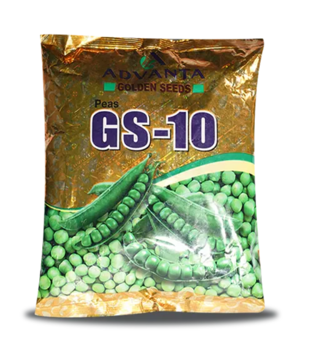 GS-10 PEA SEED