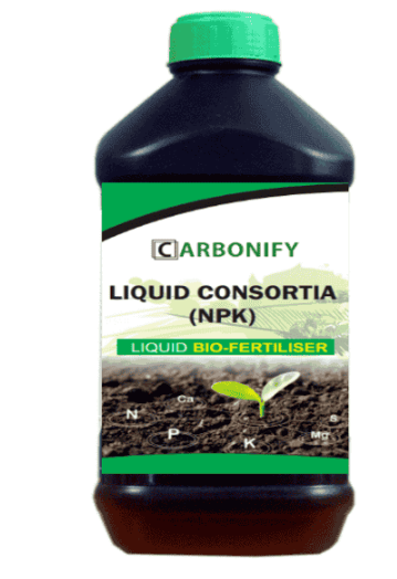 CARBONIFY LIQUID CONSORTIA