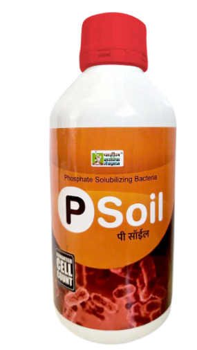 P-soil