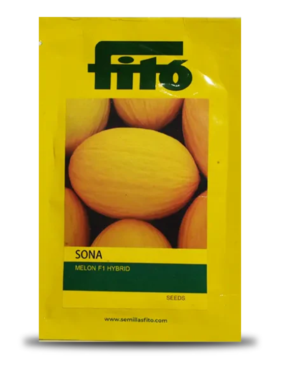 SONA MUSK MELON