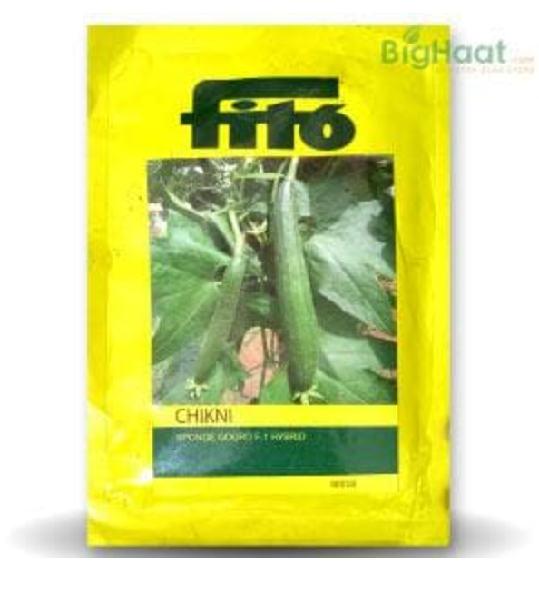 చిక్కిని నేతి బీరకాయ