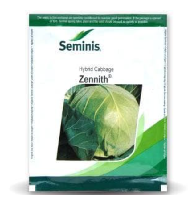 ZENNITH CABBAGE