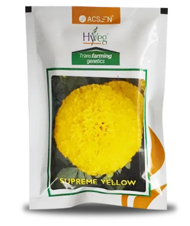 SUPREME YELLOW MARIGOLD