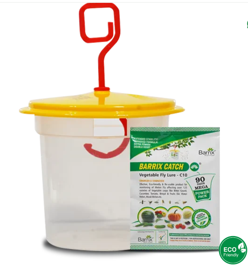 క్యాచ్ వెజిటబుల్ ఫ్లై ఎర + ట్రాప్