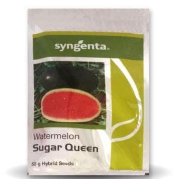 SUGAR QUEEN WATER MELON