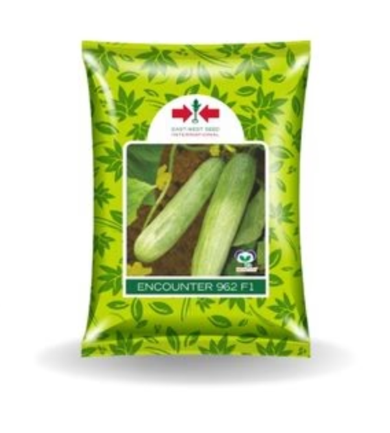 ENCOUNTER CUCUMBER
