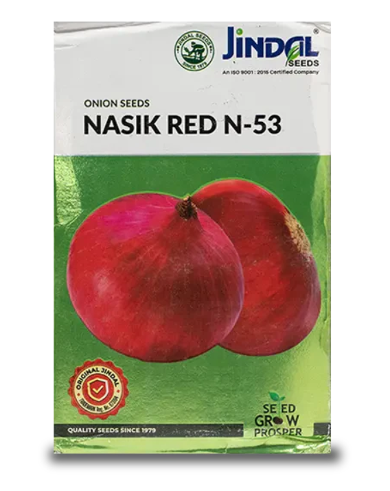 JINDAL NASIK RED ONION SEEDS (N-53)
