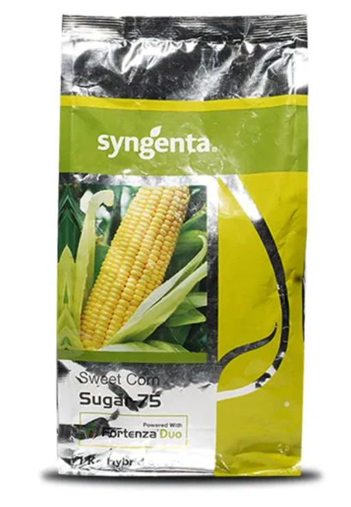 SUGAR 75 SWEET CORN