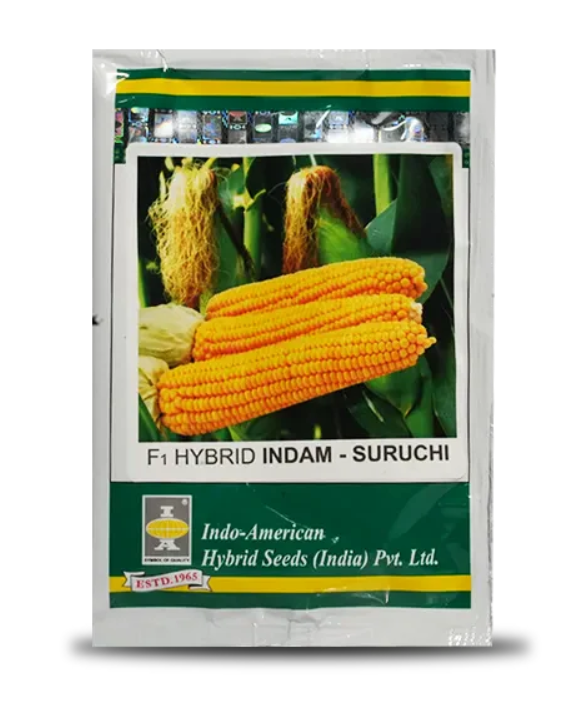 सुरुचि स्वीट कॉर्न