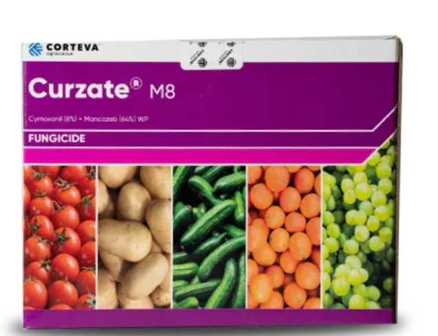 Curzate Fungicide – Rapid Action Control for Blight & Mildew Diseases