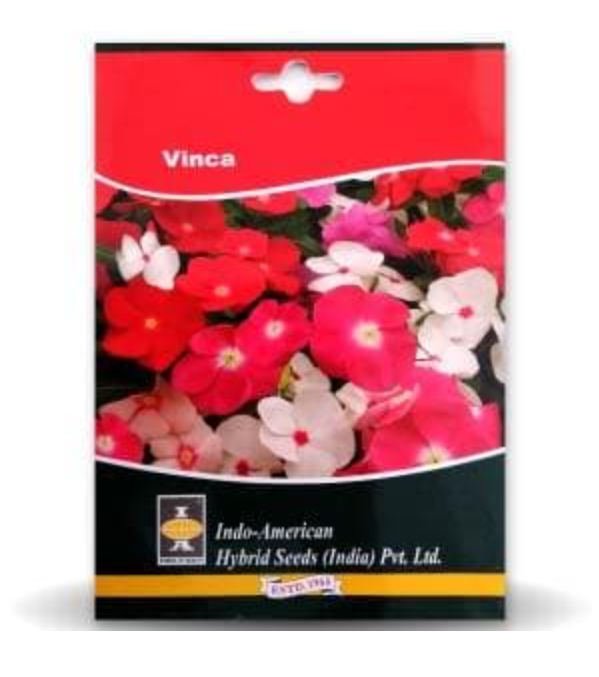 VINCA