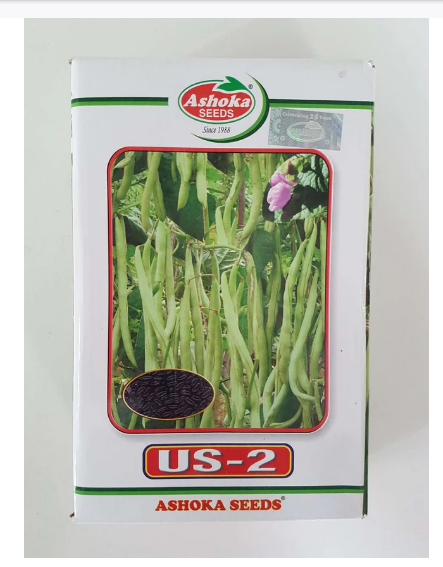 US 2 POLE BEANS