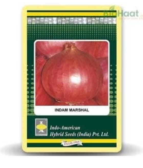 MARSHAL ONION
