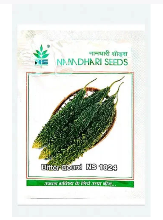 NS 1024 F1 Hybrid Bitter Gourd Seeds